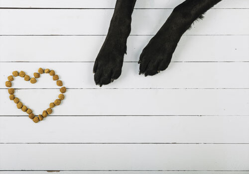 Pet Mix
